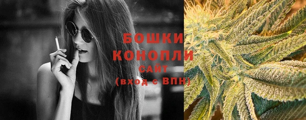 ГАЛЛЮЦИНОГЕННЫЕ ГРИБЫ Баксан