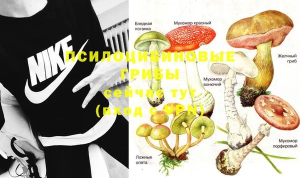 прущая мука Балабаново