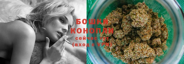 ГАЛЛЮЦИНОГЕННЫЕ ГРИБЫ Баксан