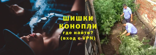 ГАЛЛЮЦИНОГЕННЫЕ ГРИБЫ Баксан