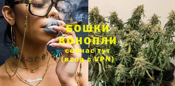 ГАЛЛЮЦИНОГЕННЫЕ ГРИБЫ Баксан
