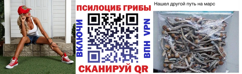 купить  цена  Себеж  Псилоцибиновые грибы мицелий 